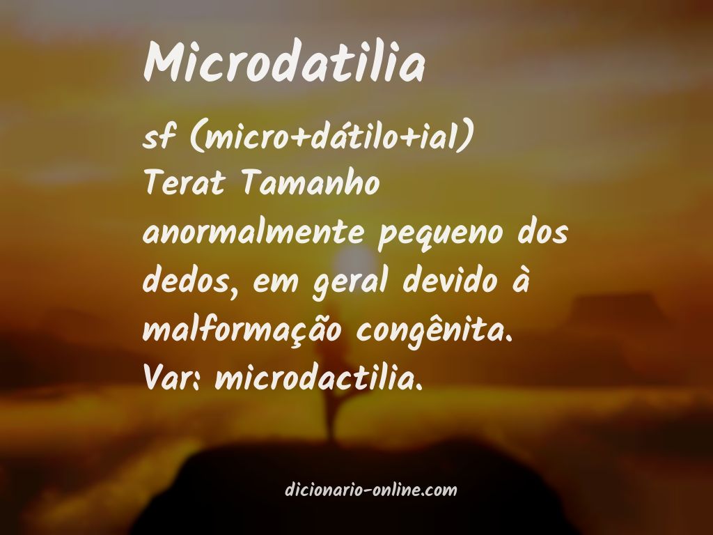 Significado de microdatilia