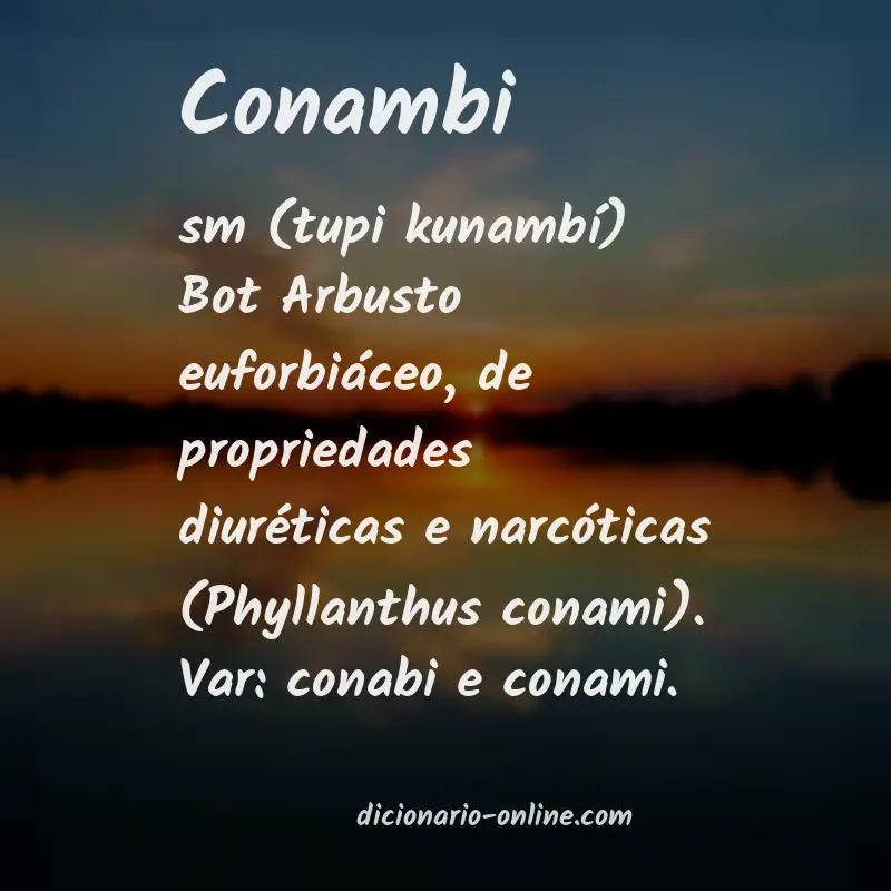 Significado de conambi