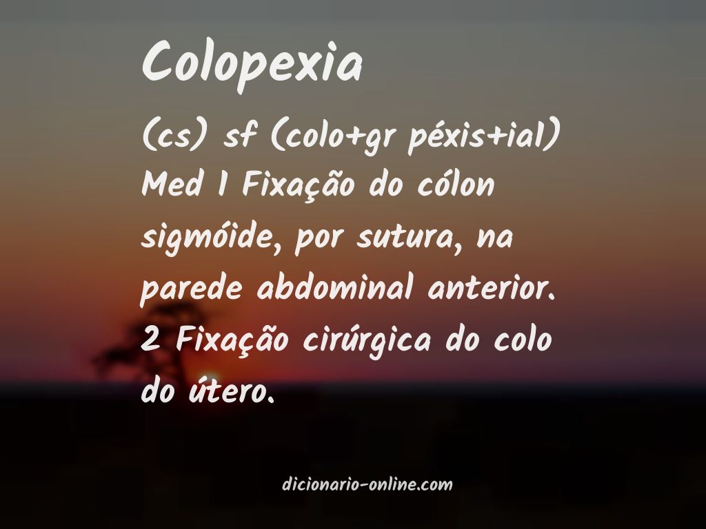 Significado de colopexia