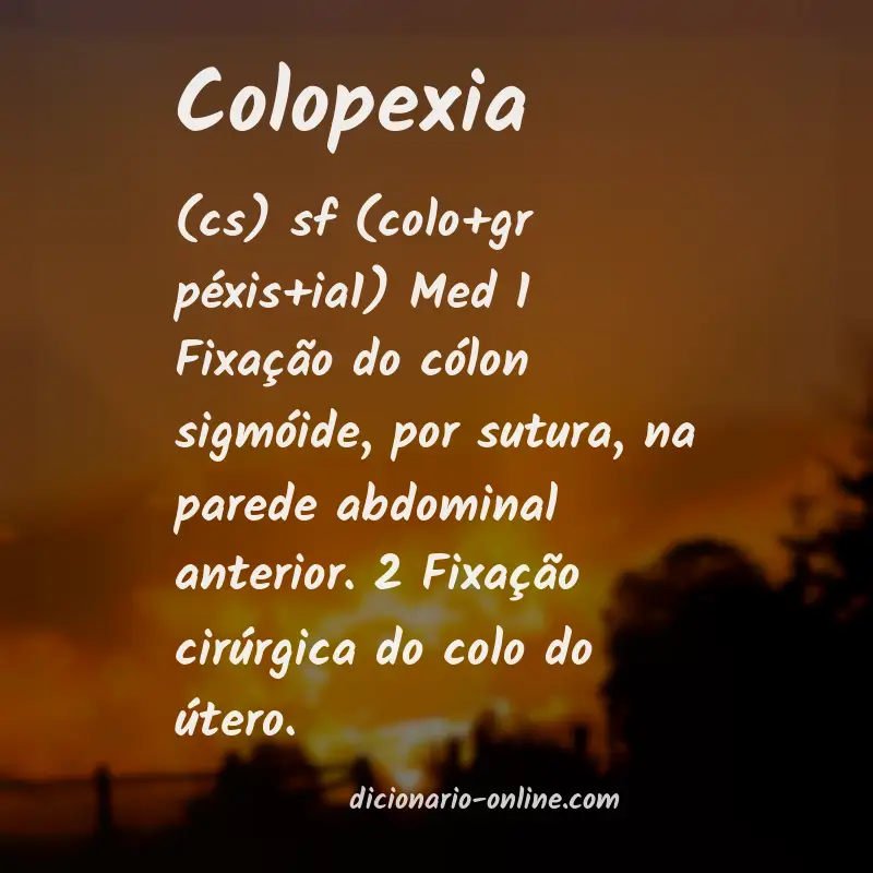 Significado de colopexia