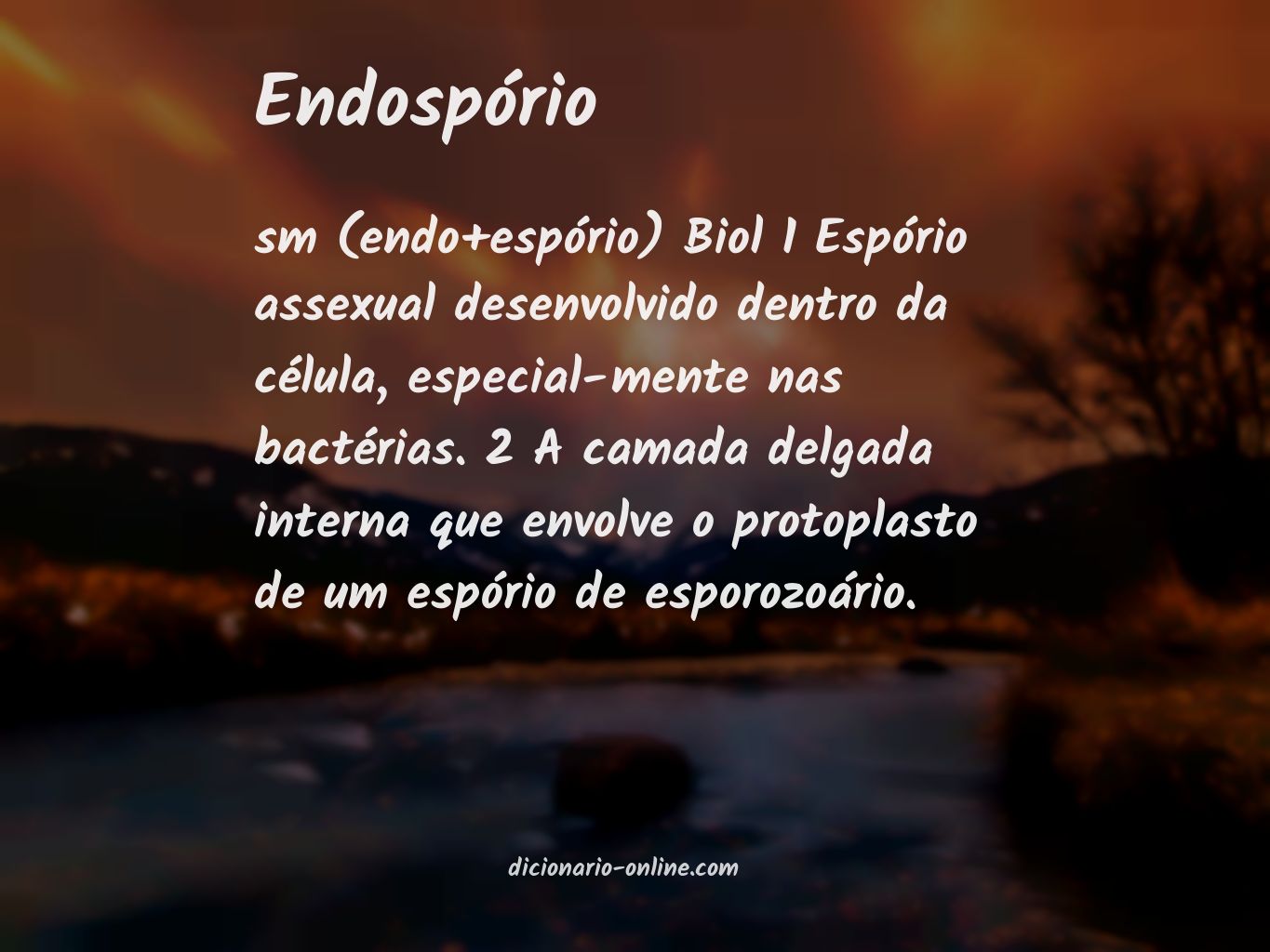 Significado de endospório