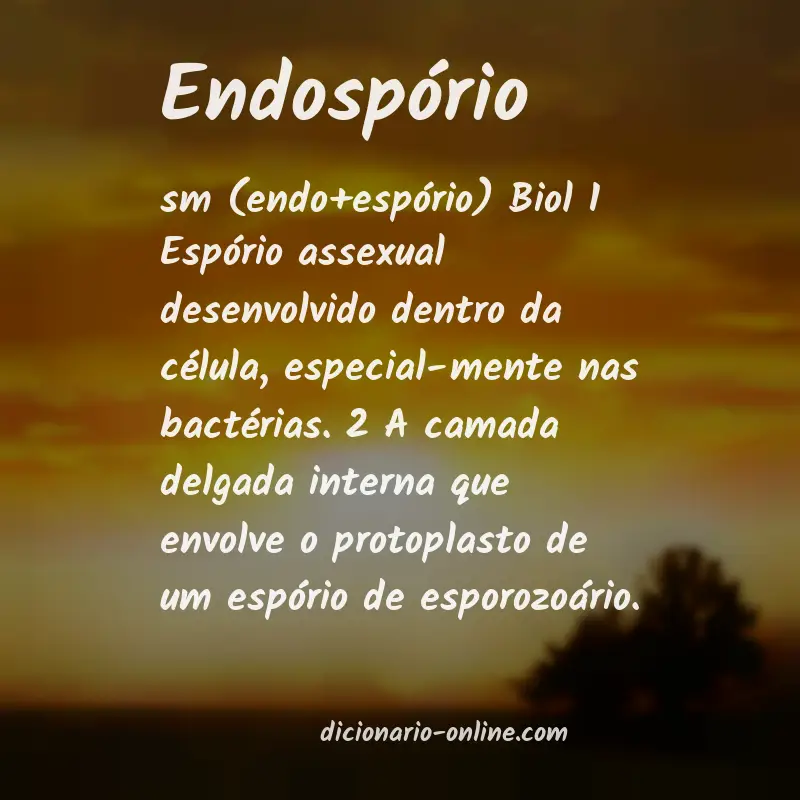 Significado de endospório