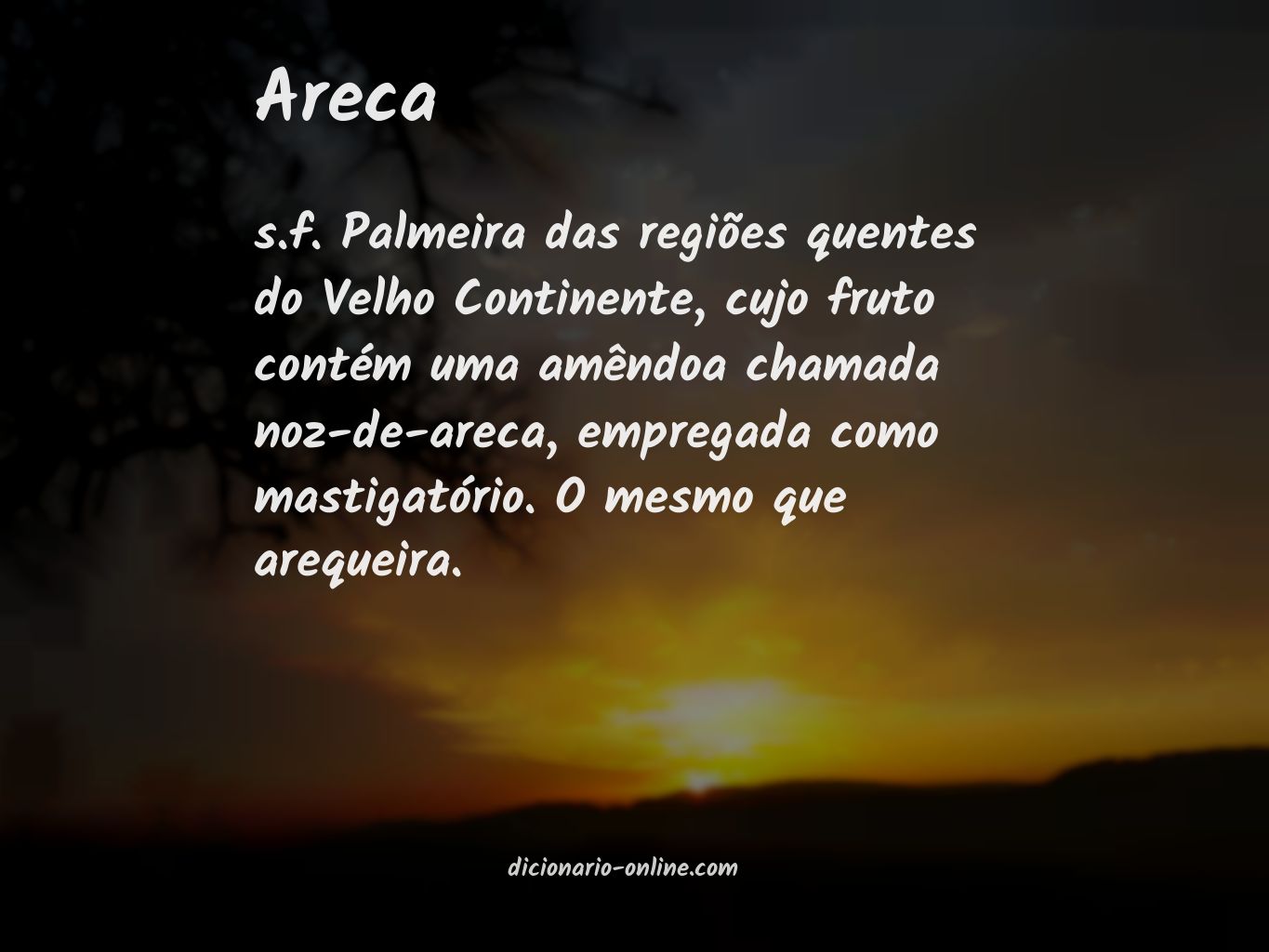 Significado de areca