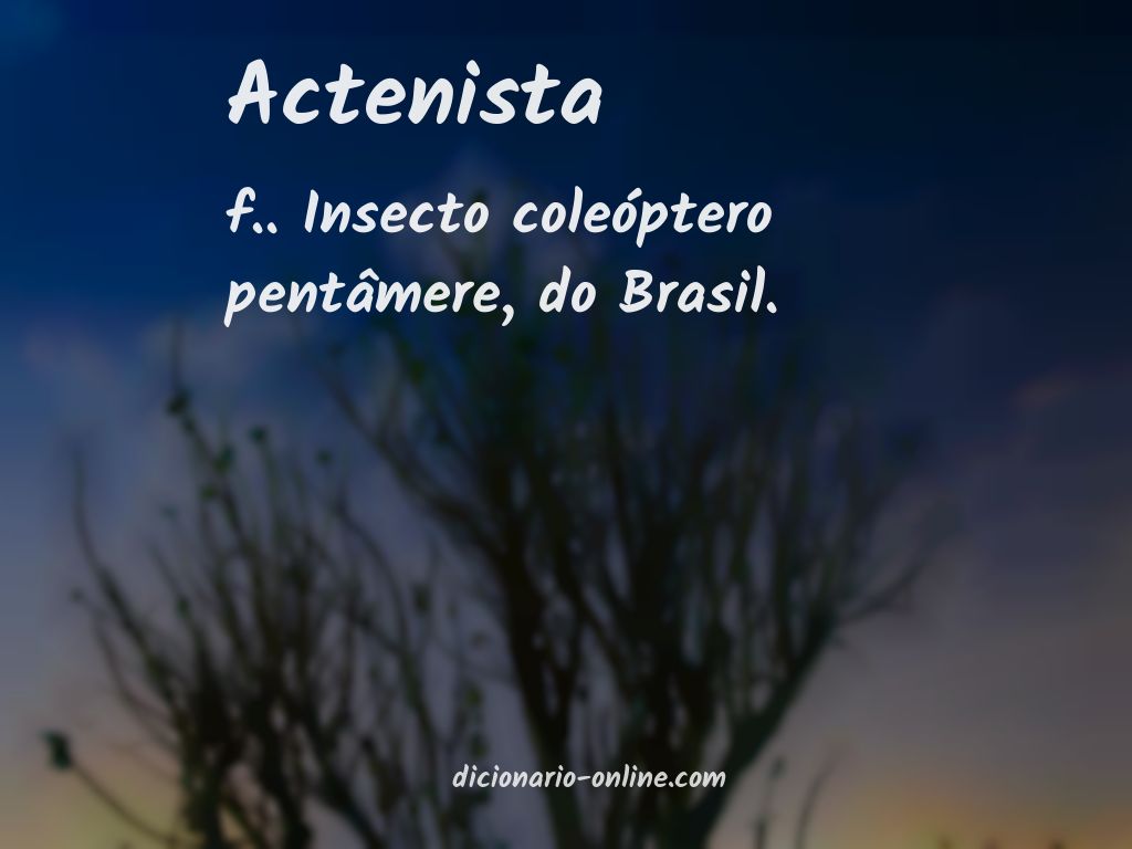 Significado de actenista