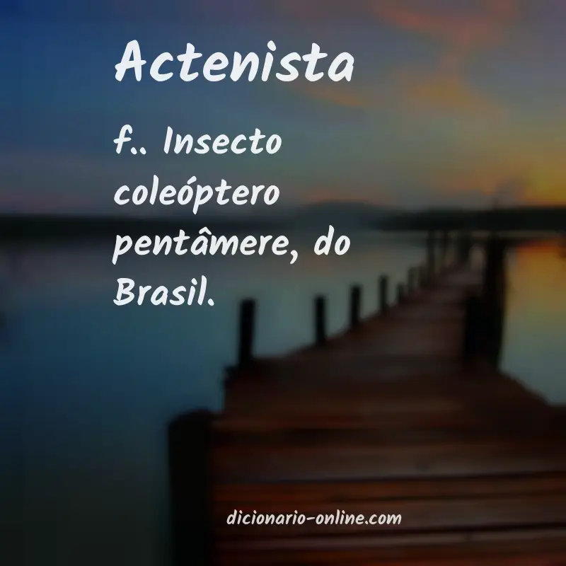 Significado de actenista