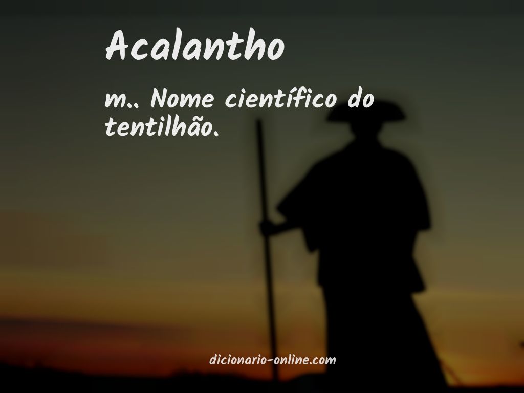 Significado de acalantho