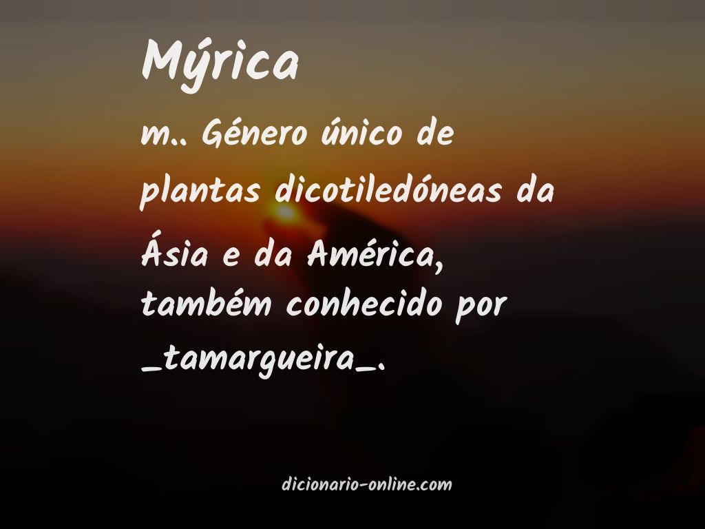 Significado de mýrica