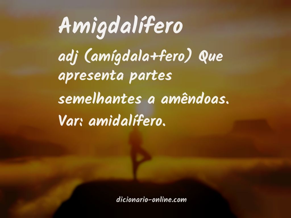 Significado de amigdalífero