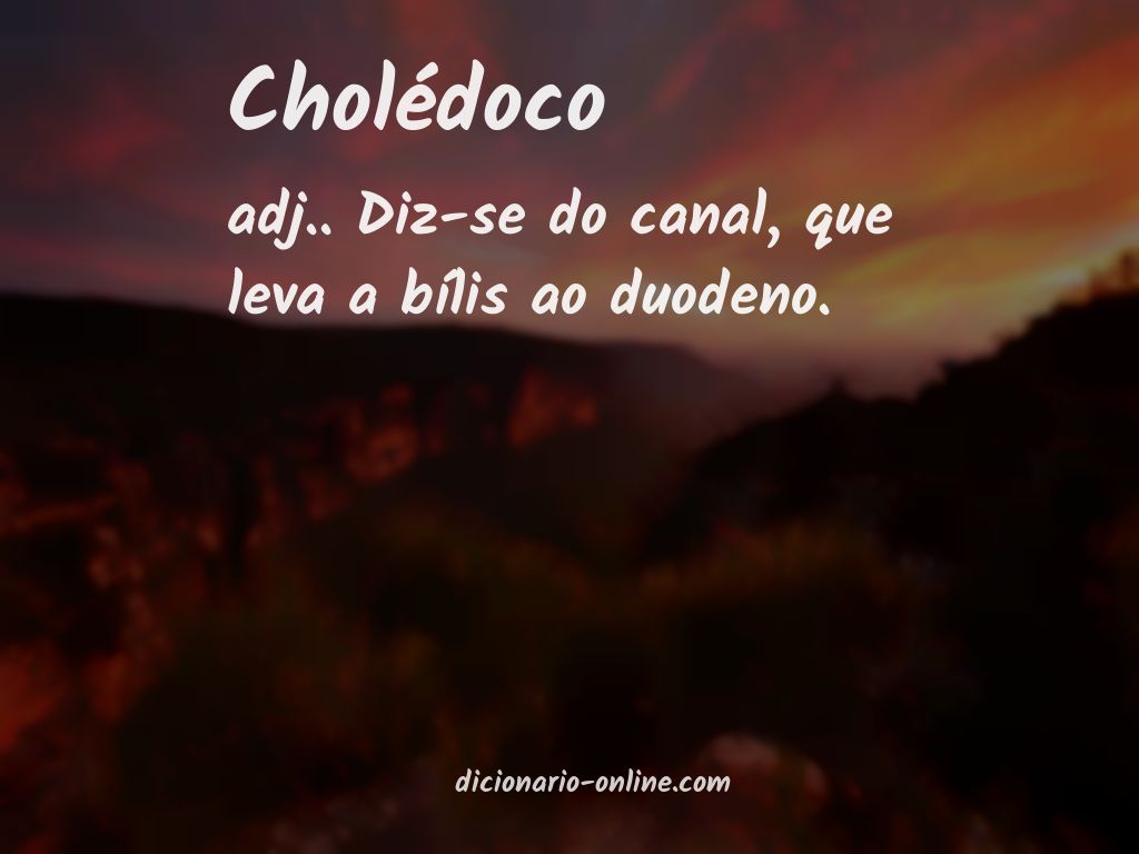 Significado de cholédoco