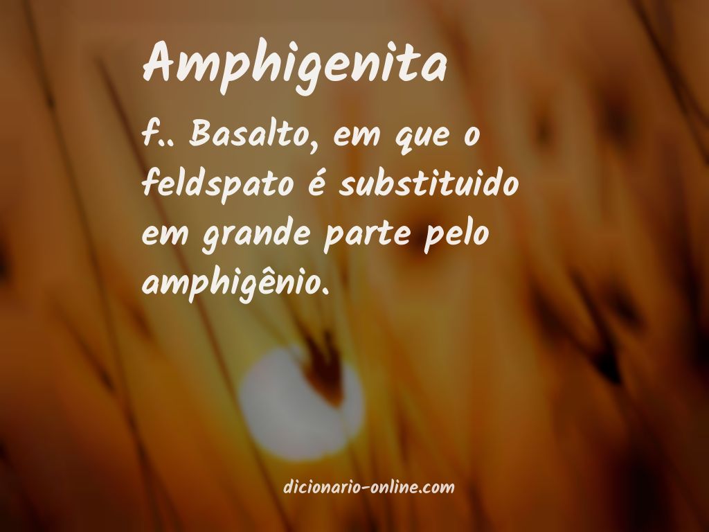 Significado de amphigenita