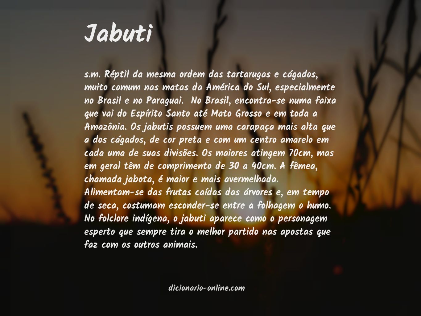 Significado de jabuti