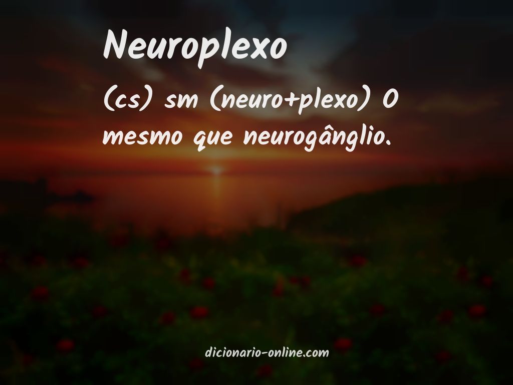 Significado de neuroplexo