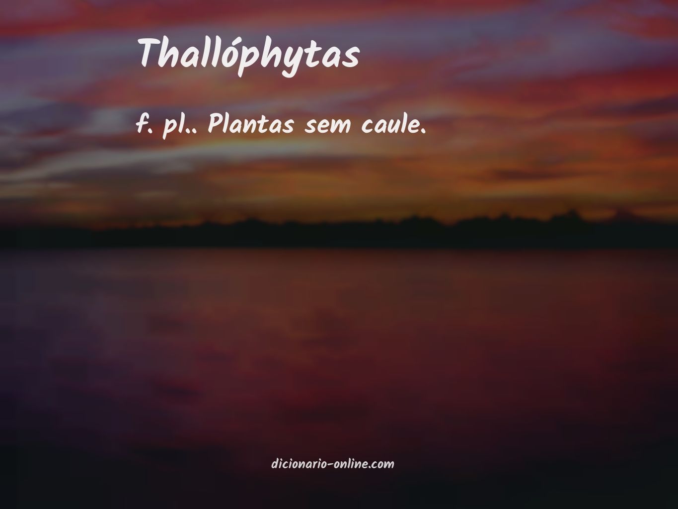 Significado de thallóphytas