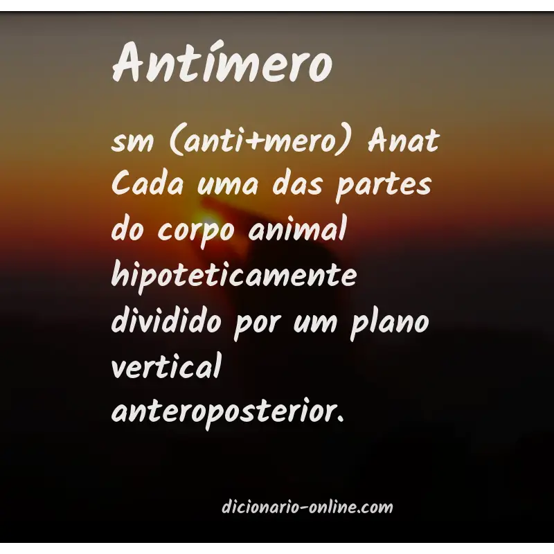 Significado de antímero
