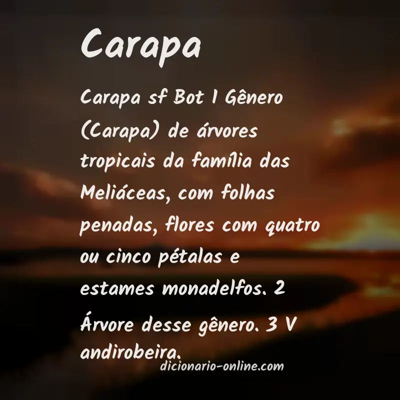 Significado de carapa
