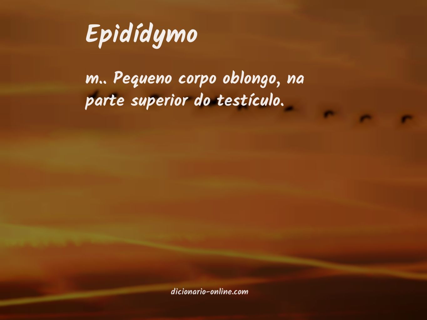 Significado de epidídymo