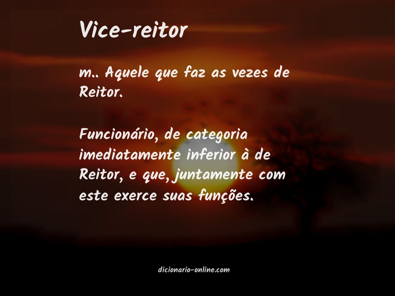 Significado de vice-reitor