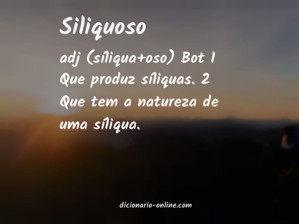 Significado de siliquoso