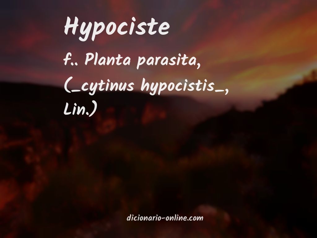 Significado de hypociste