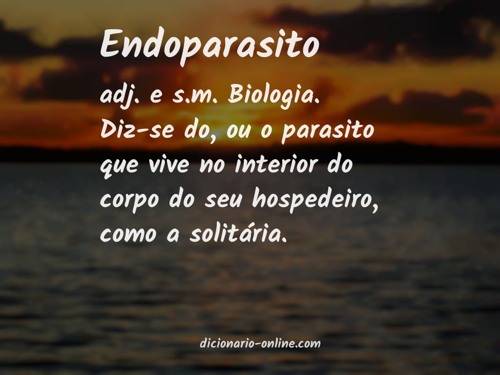 Significado de endoparasito