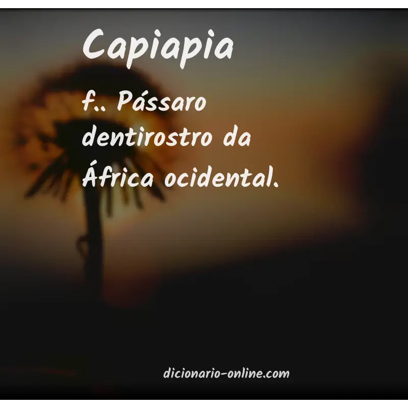 Significado de capiapia