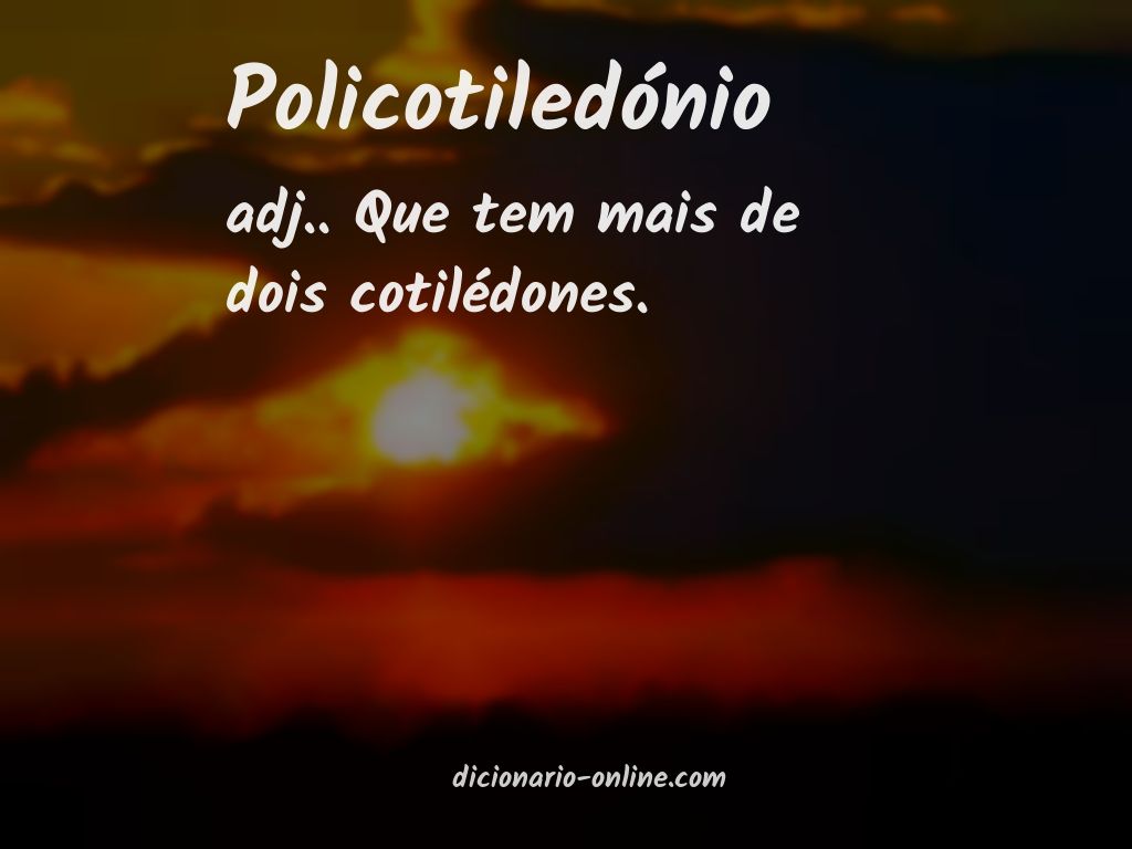 Significado de policotiledónio