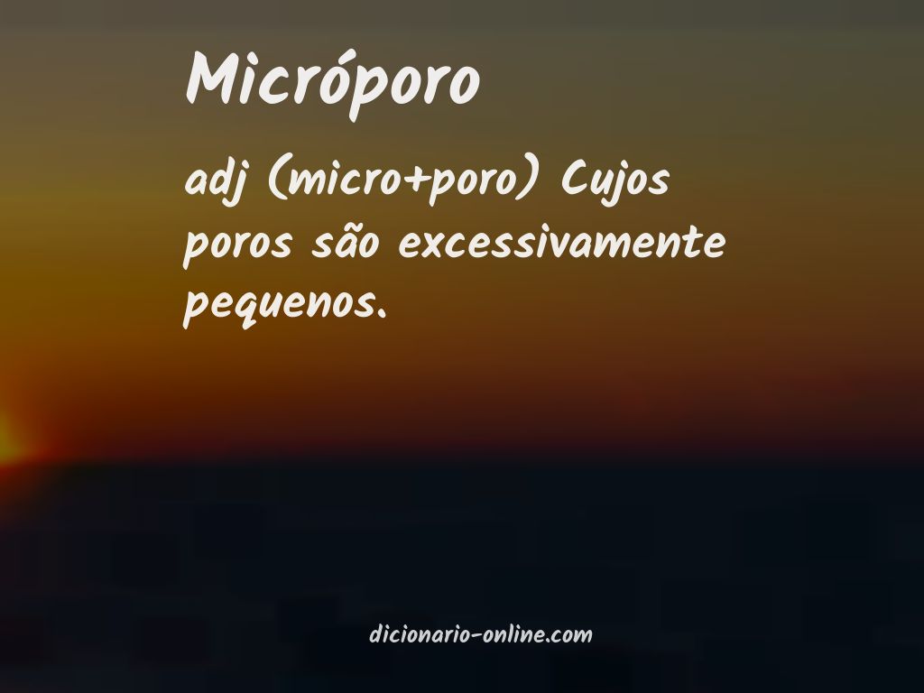 Significado de micróporo