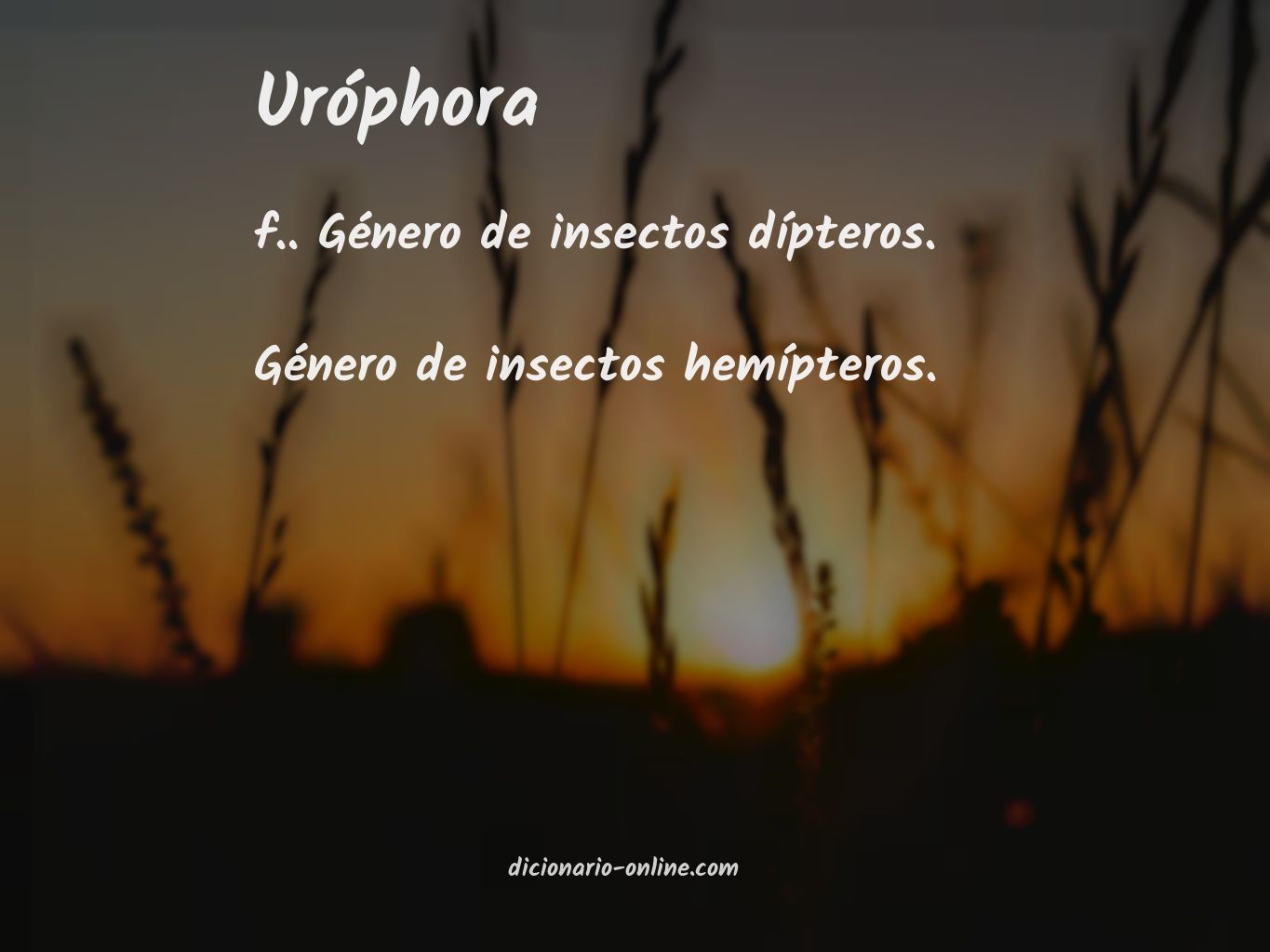 Significado de uróphora