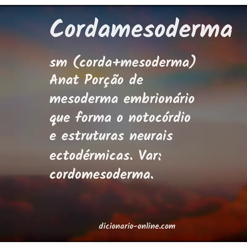 Significado de cordamesoderma