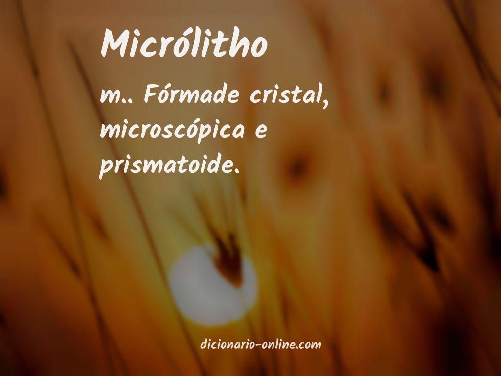 Significado de micrólitho