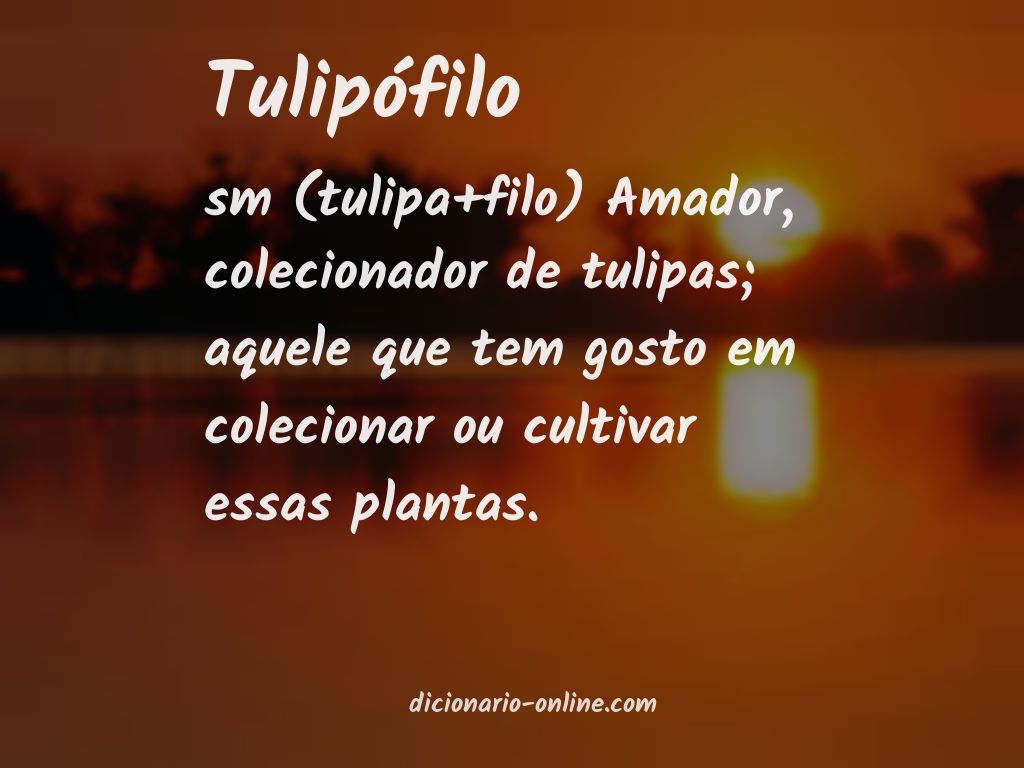 Significado de tulipófilo