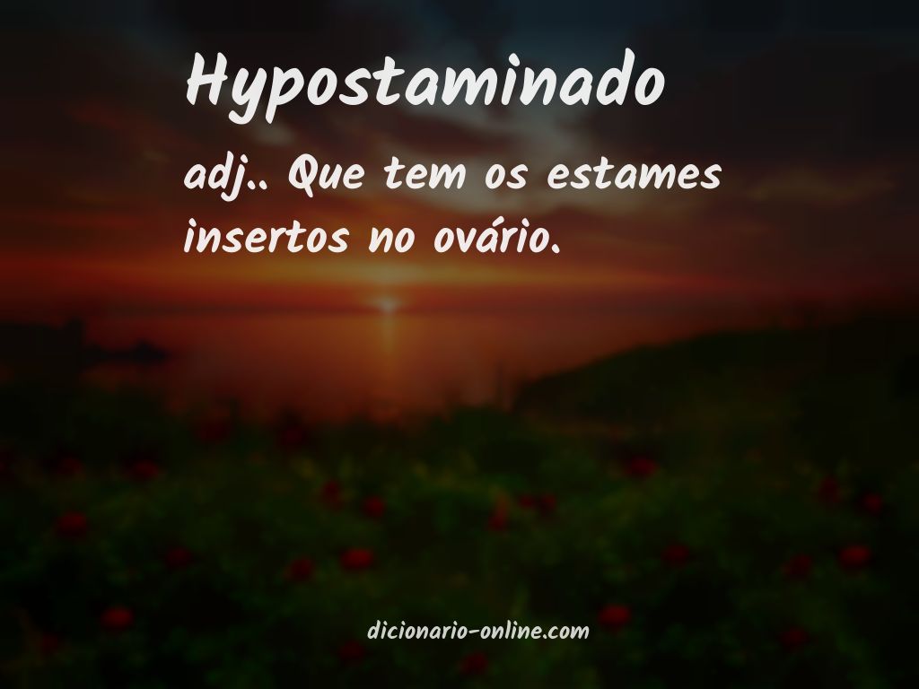 Significado de hypostaminado