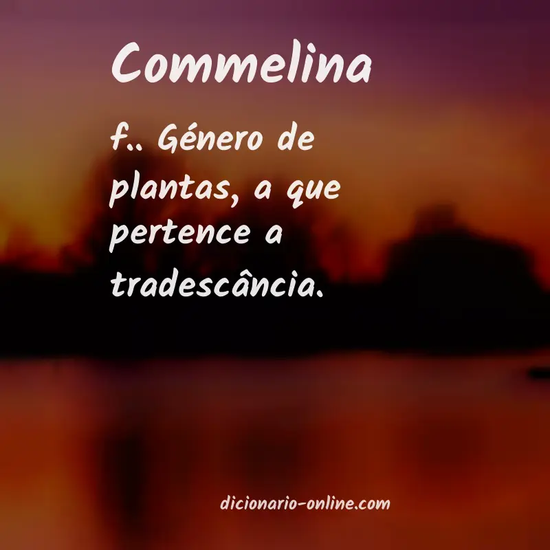 Significado de commelina