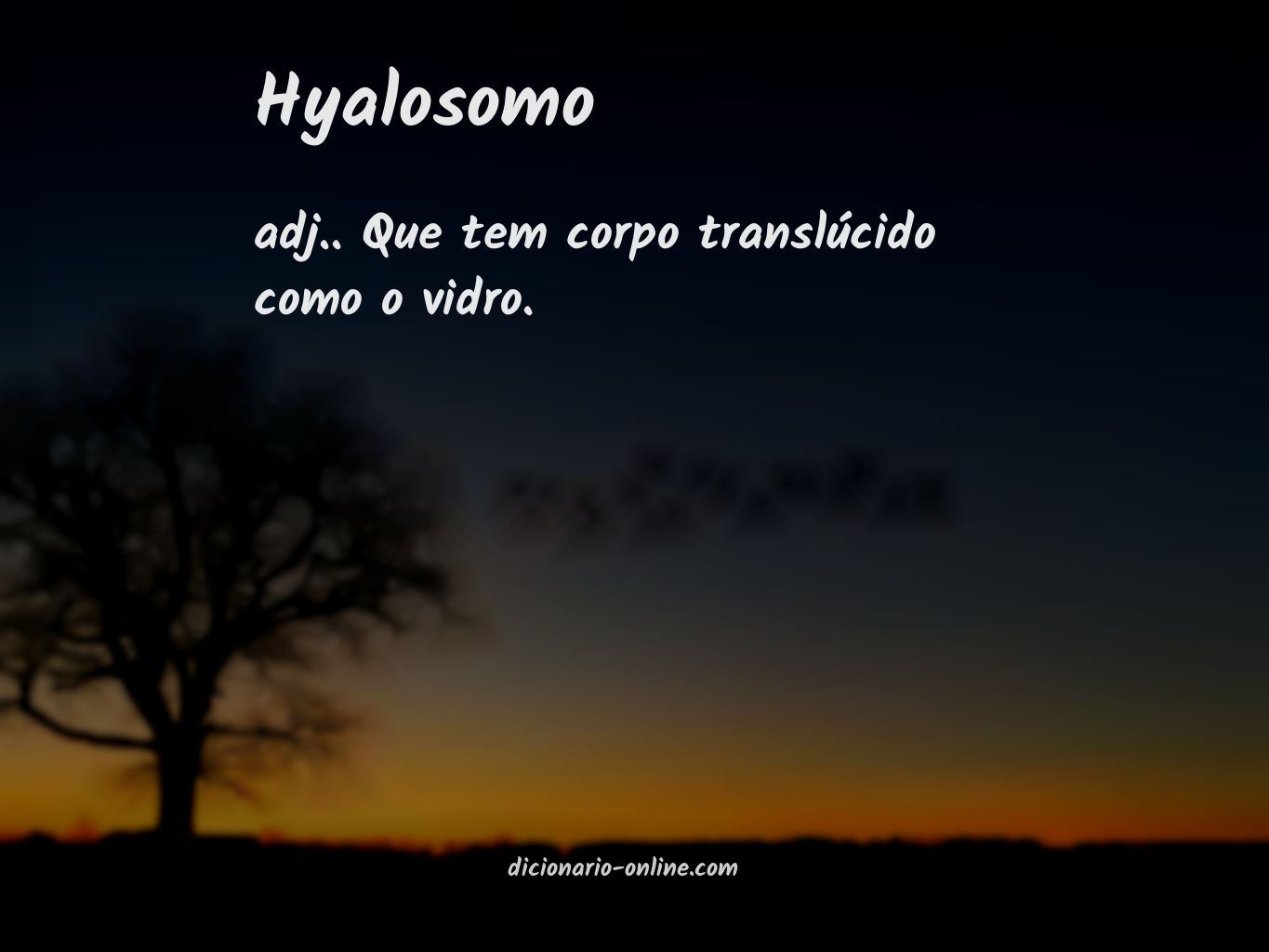 Significado de hyalosomo