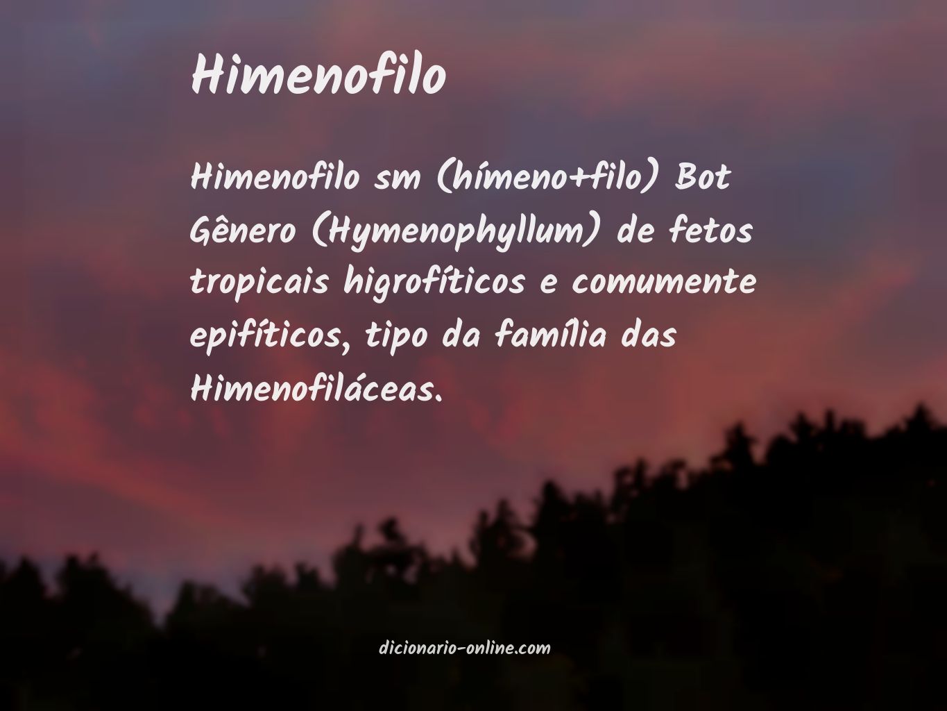 Significado de himenofilo