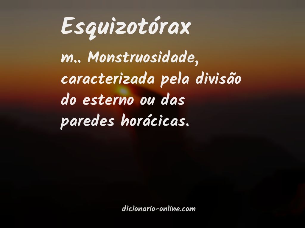 Significado de esquizotórax