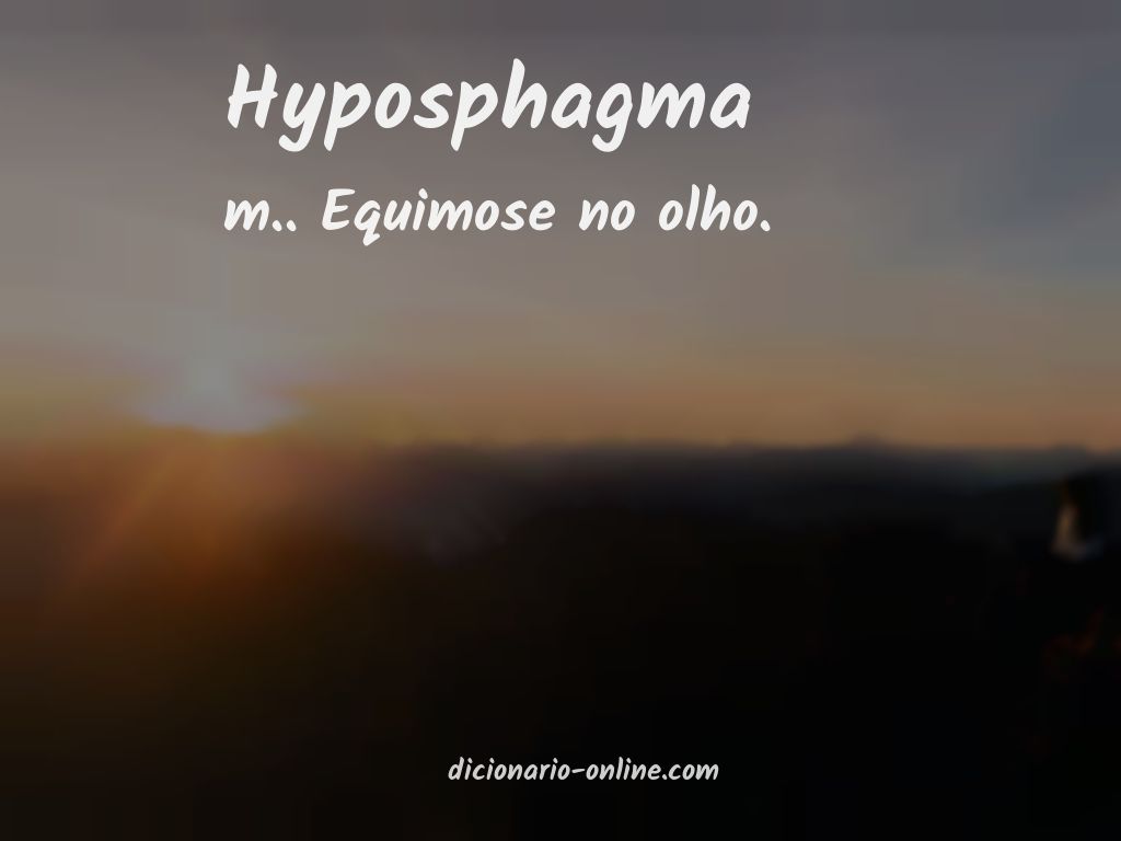 Significado de hyposphagma
