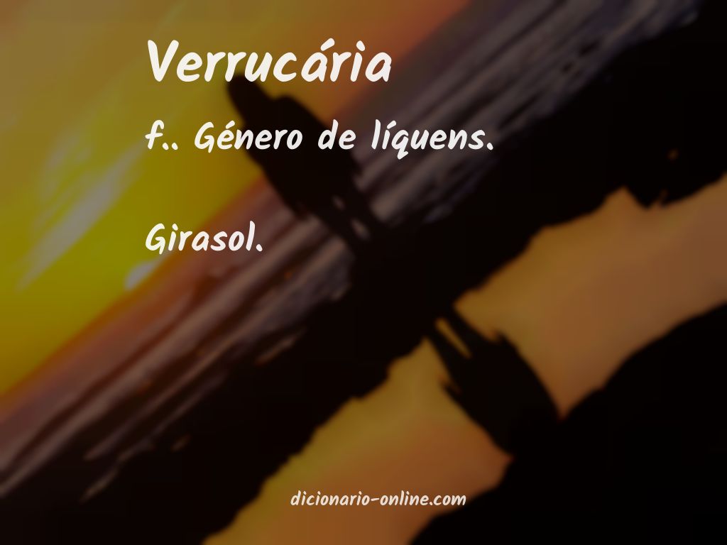 Significado de verrucária