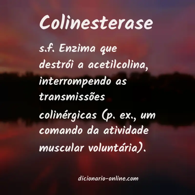 Significado de colinesterase