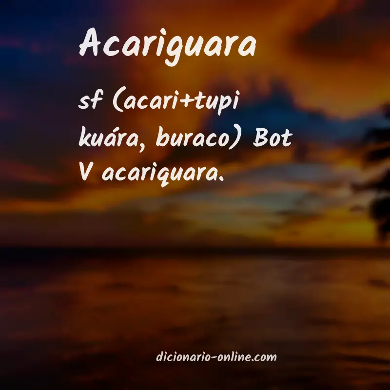 Significado de acariguara