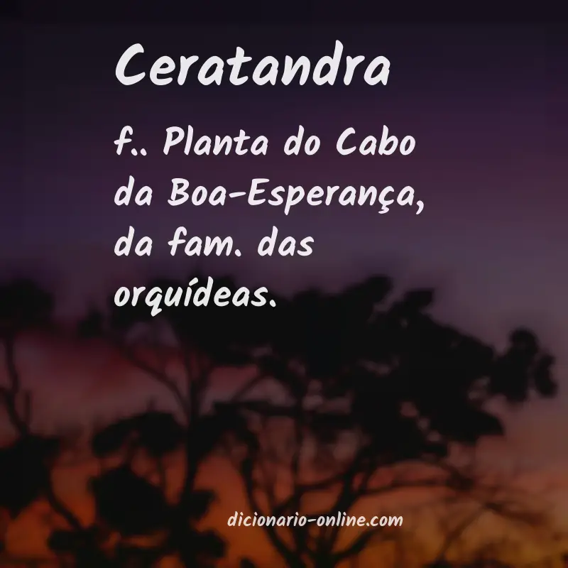 Significado de ceratandra