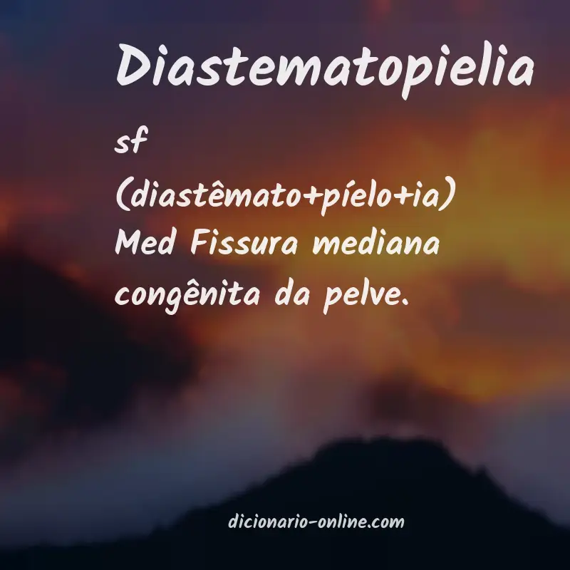 Significado de diastematopielia