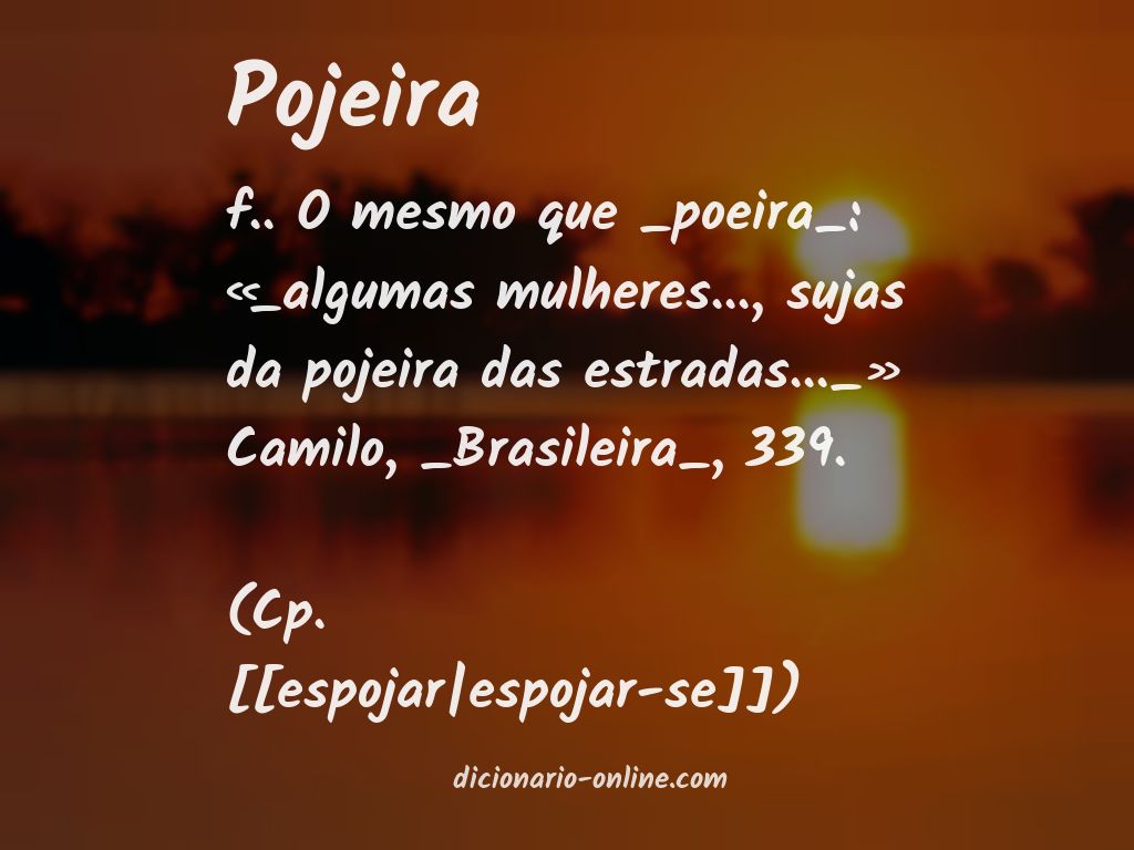 Significado de pojeira