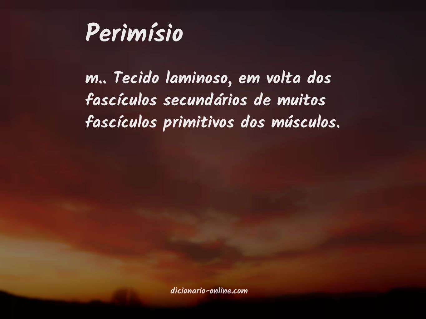 Significado de perimísio