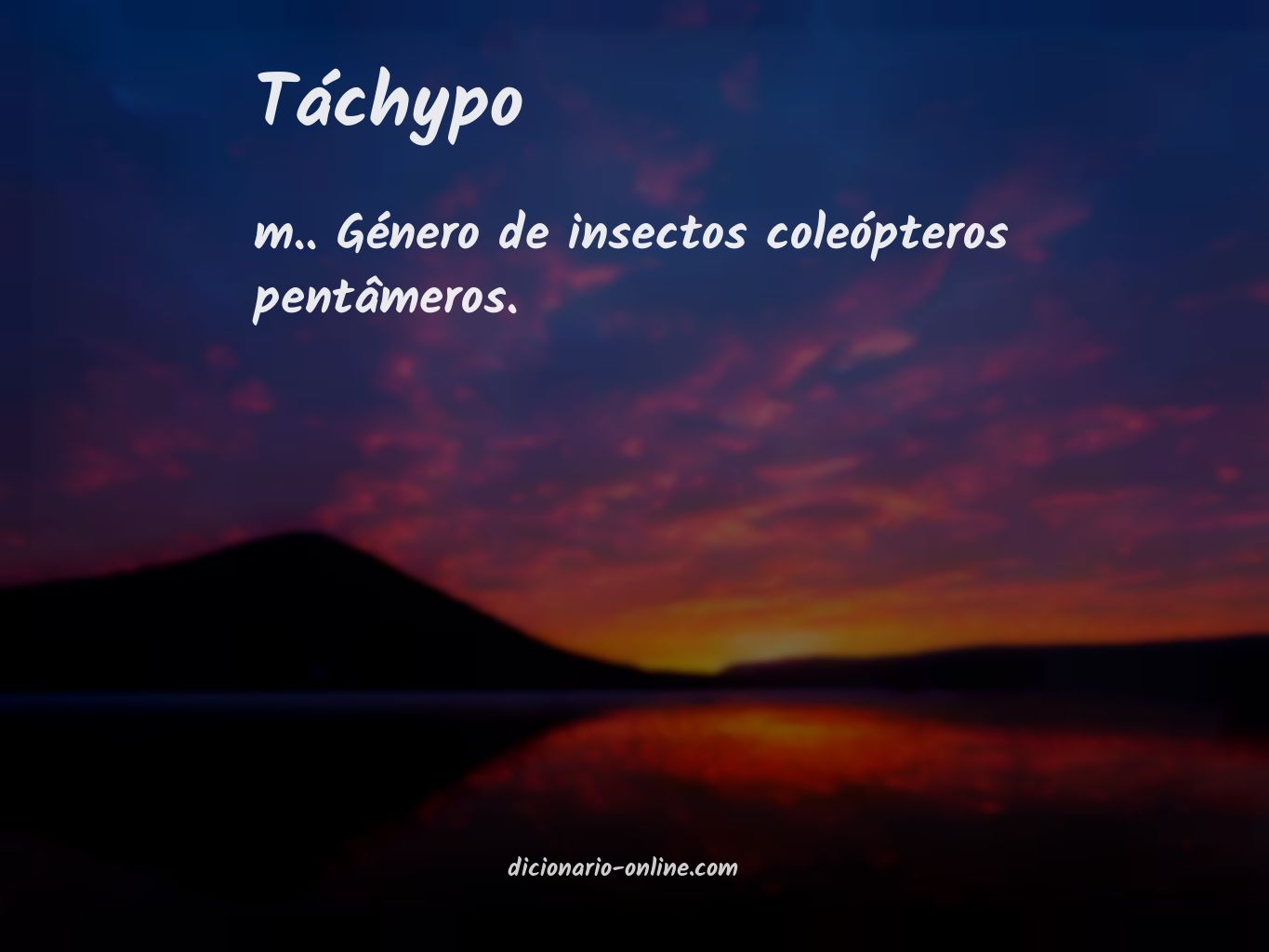 Significado de táchypo