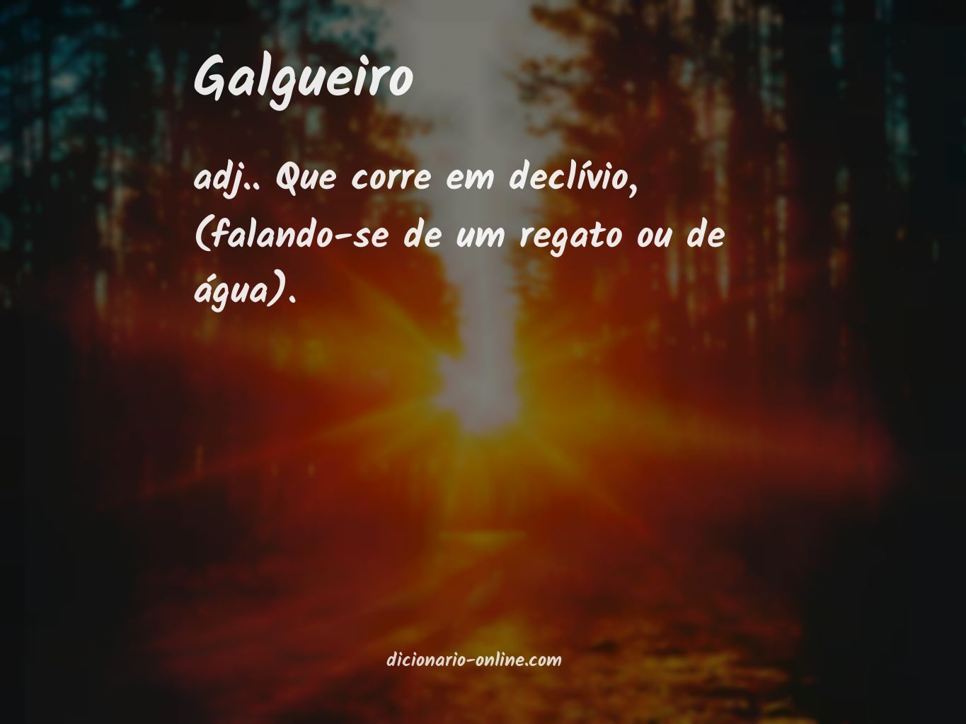 Significado de galgueiro