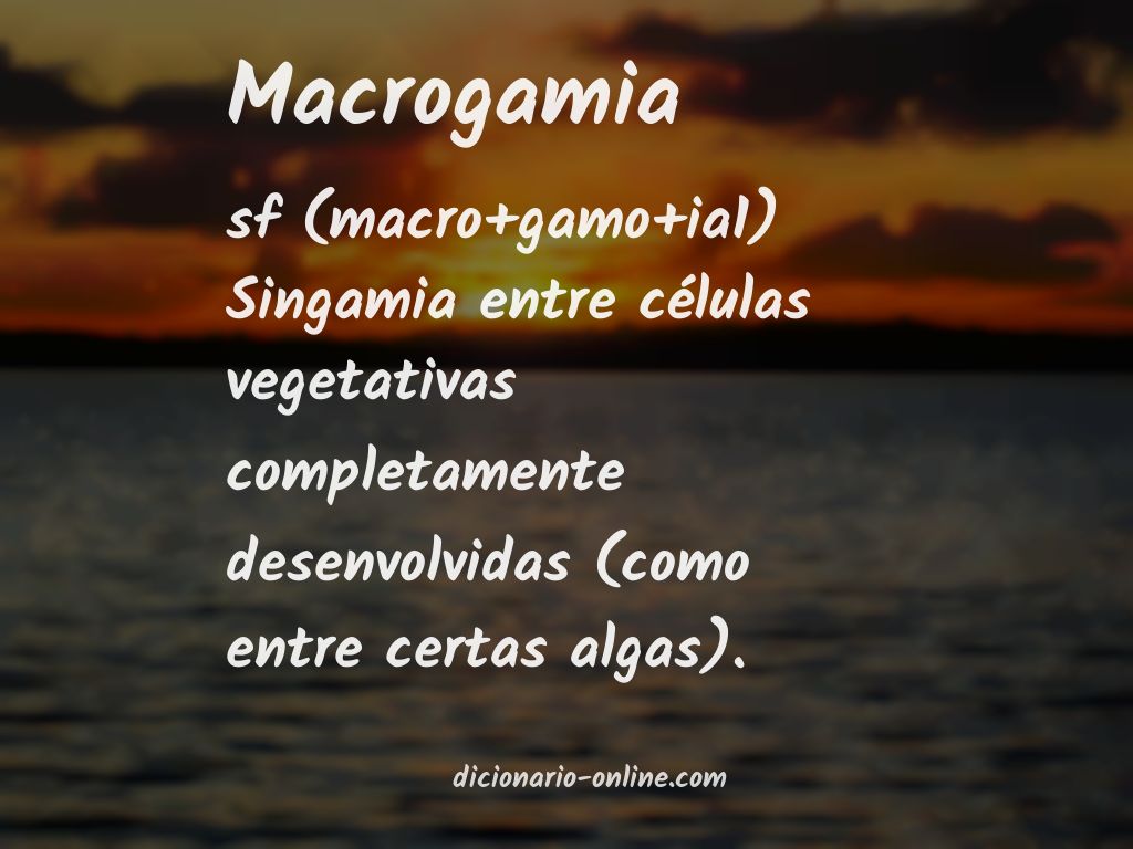 Significado de macrogamia