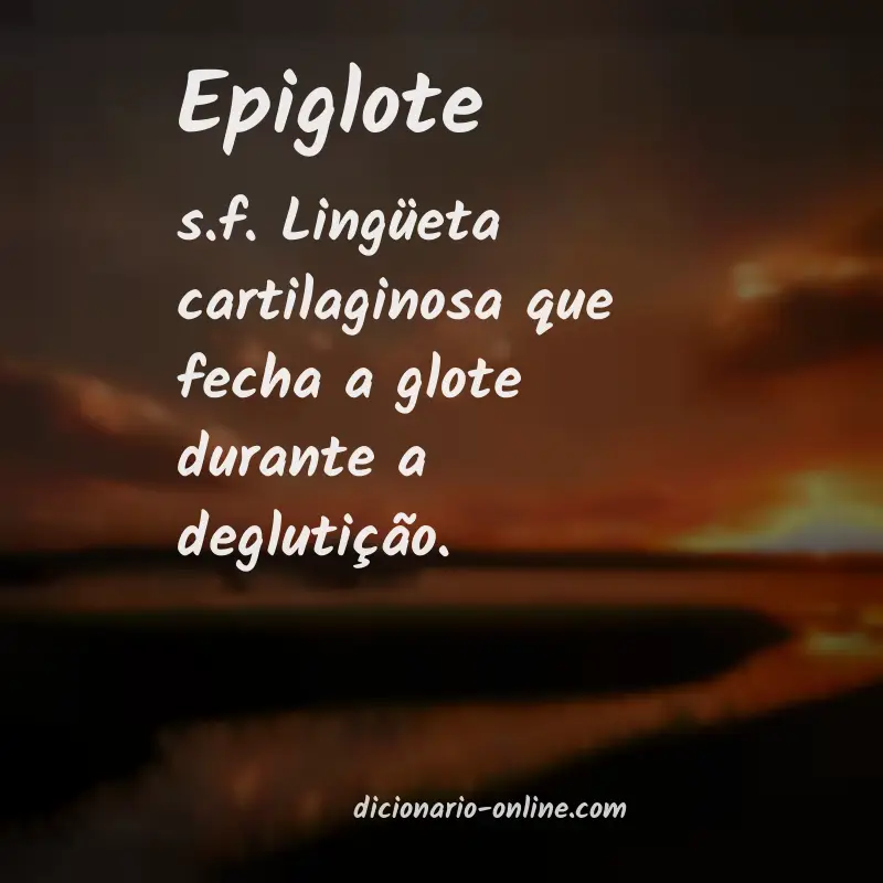 Significado de epiglote