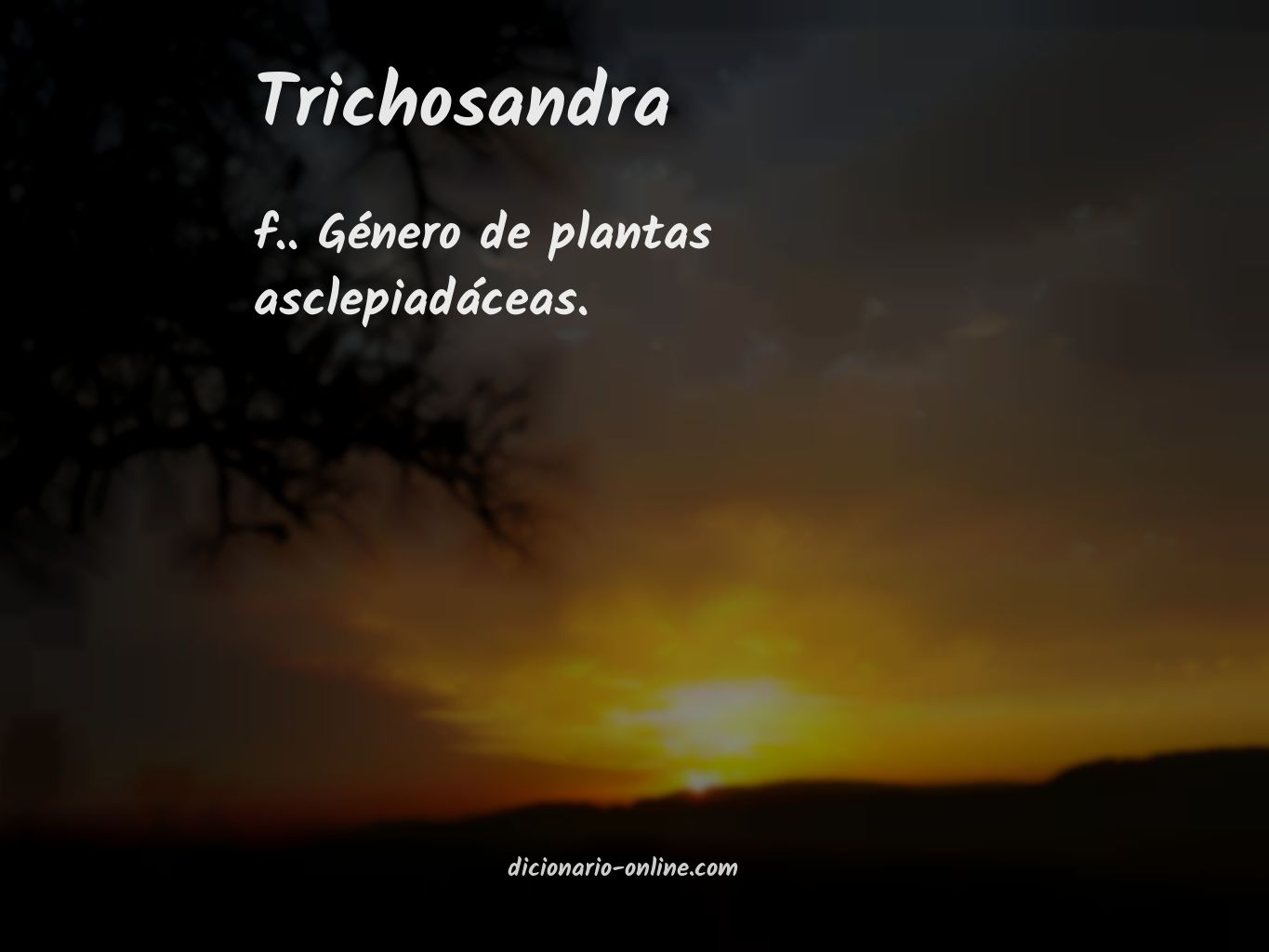 Significado de trichosandra