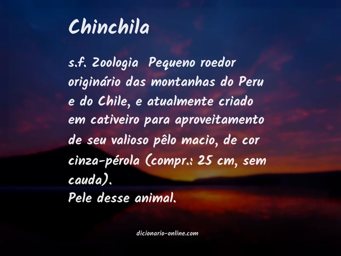 Significado de chinchila